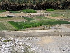 149 Landwirtschaft.JPG